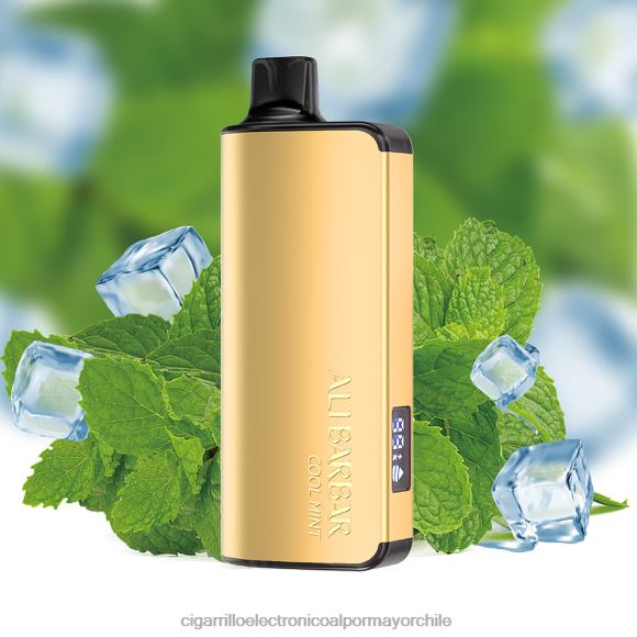 Alibarbar Ingot 9000 vaporizadores desechables menta fresca 2HN2V18 - Cigarrillo Electrónico Desechable
