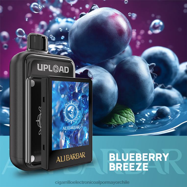 Alibarbar subir brisa de arándanos D0R64113 - Cigarrillo Electrónico Recargable