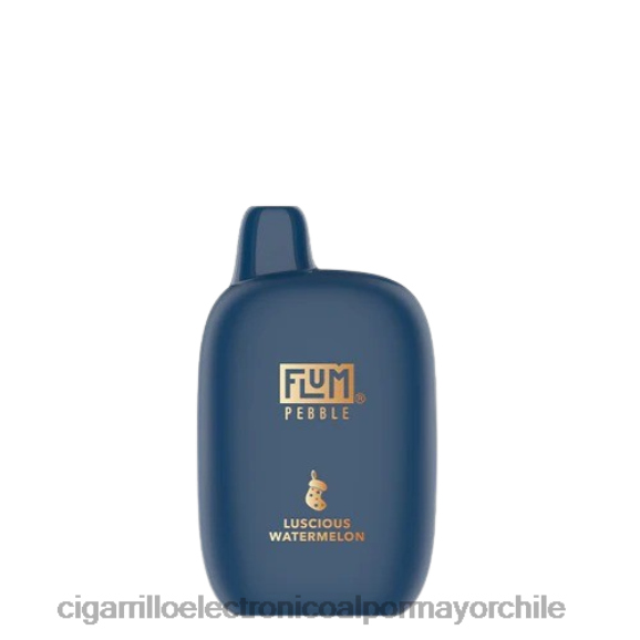 FLUM PEBBLES 6000 caladas (edición navideña) sandia deliciosa D2647 - Cigarrillo Electrónico Con Nicotina
