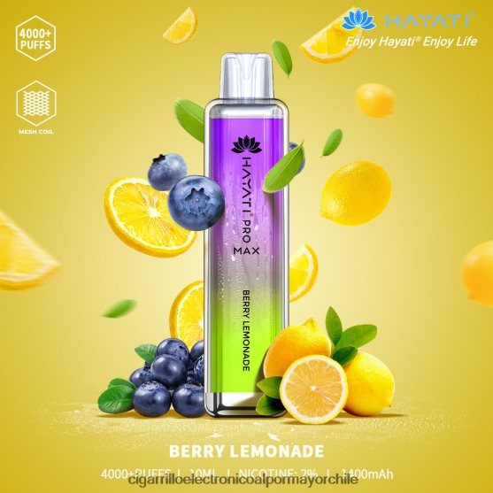 limonada de bayas