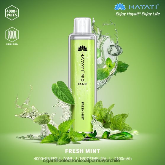menta fresca
