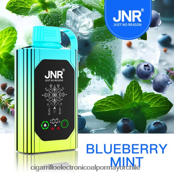 menta de arándanos