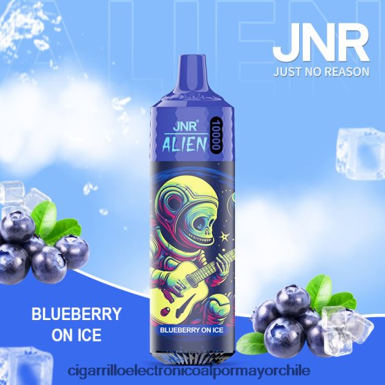 arándanos en hielo
